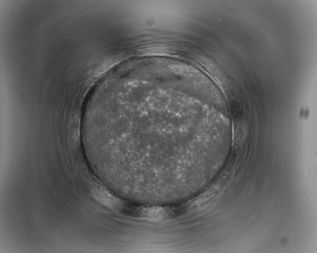 X0000099990301200806131441