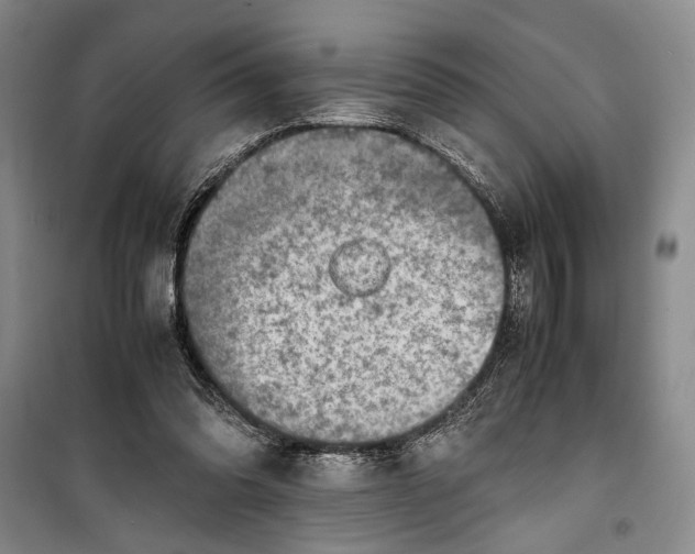 X0000099990302200806131441