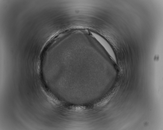 X0000099990304200806131441