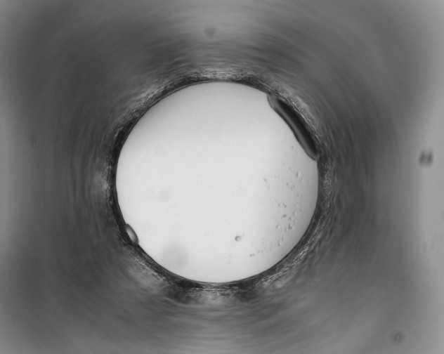 X0000099990305200806131441