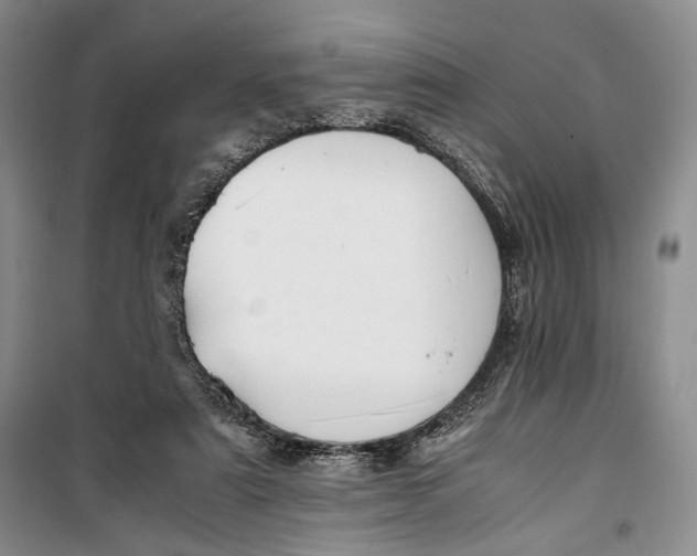 X0000099990307200806131441