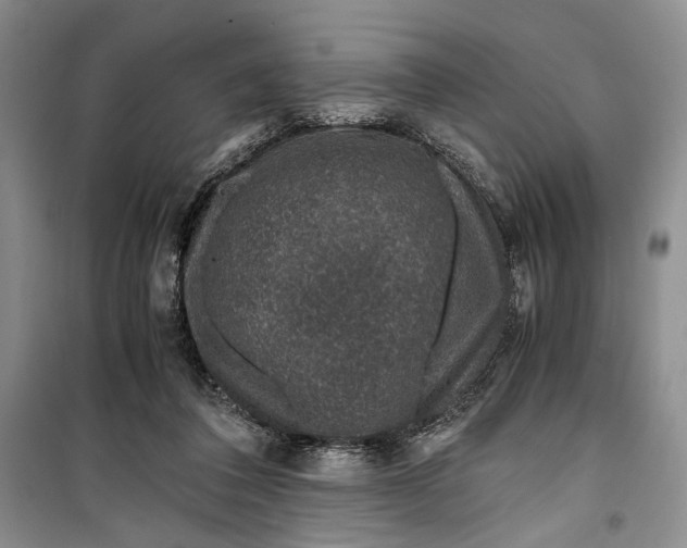 X0000099990308200806131441