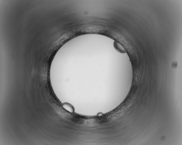 X0000099990309200806131441