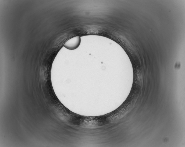 X0000099990311200806131441