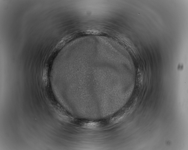 X0000099990312200806131441