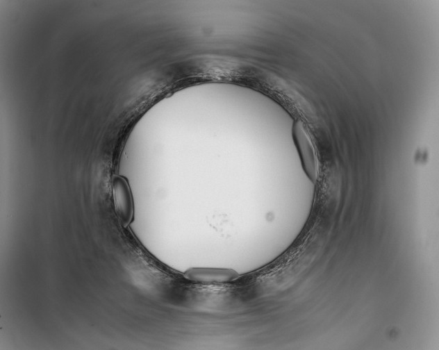 X0000099990313200806131441