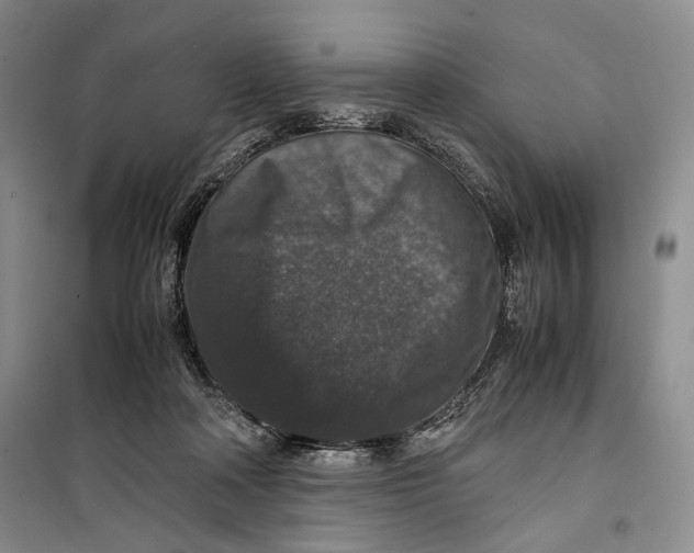 X0000099990314200806131441