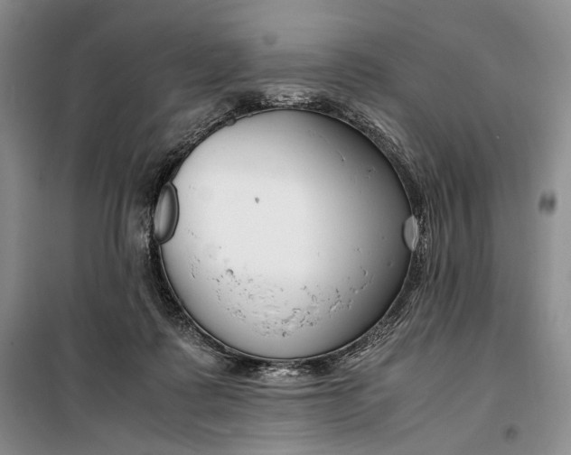 X0000099990315200806131441