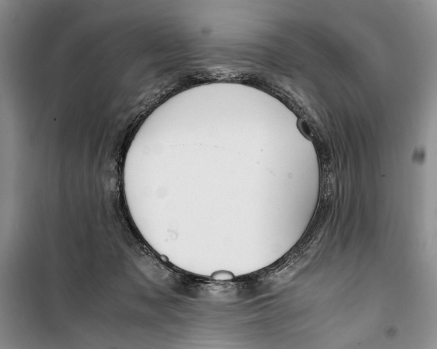 X0000099990317200806131440