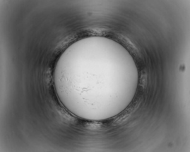 X0000099990318200806131440