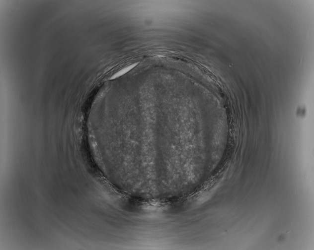 X0000099990319200806131440