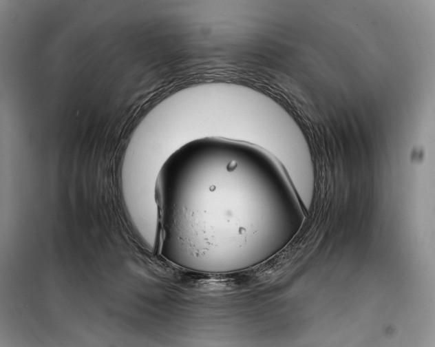 X0000099990320200806131440