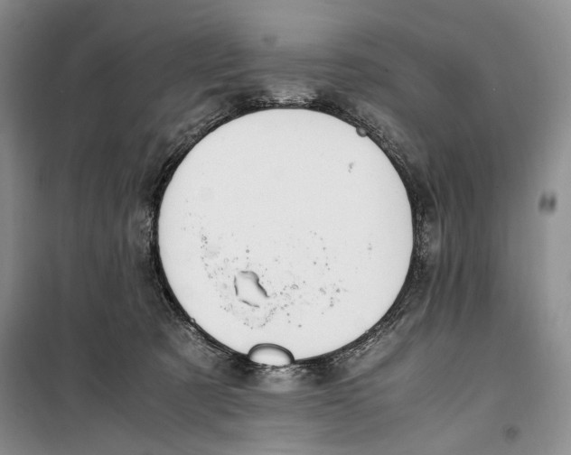 X0000099990321200806131440