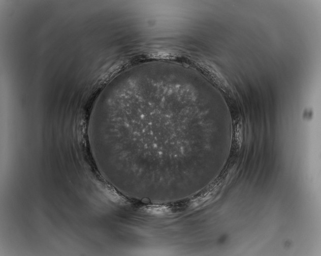 X0000099990322200806131440