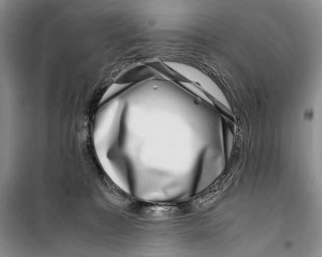 X0000099990323200806131440