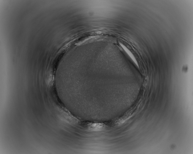 X0000099990324200806131440