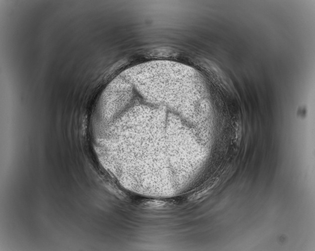 X0000099990326200806131440