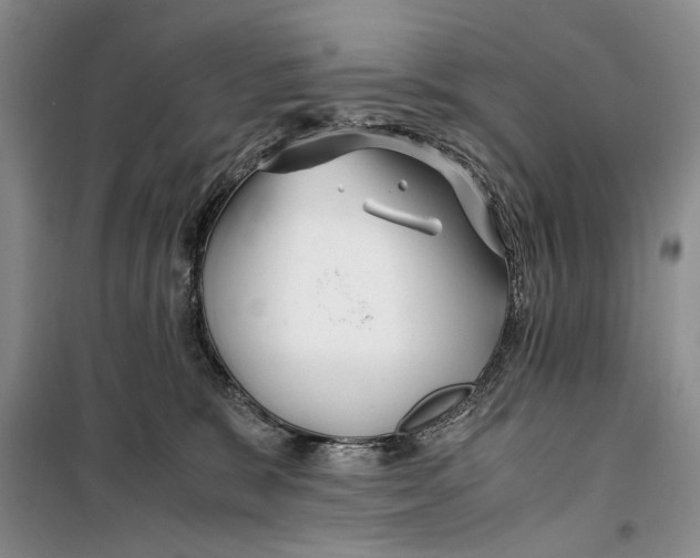 X0000099990327200806131440