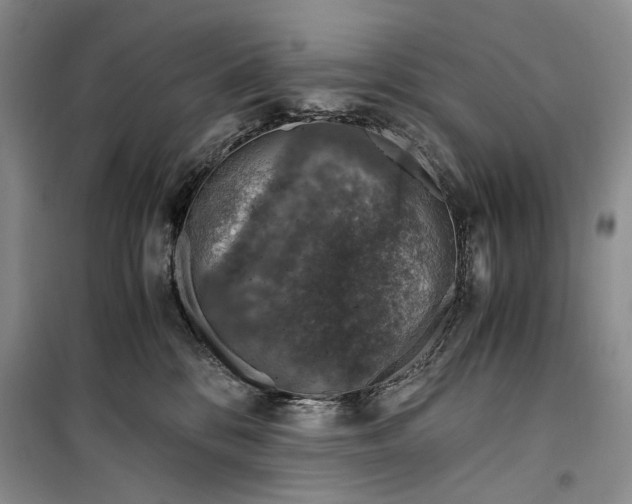 X0000099990328200806131440