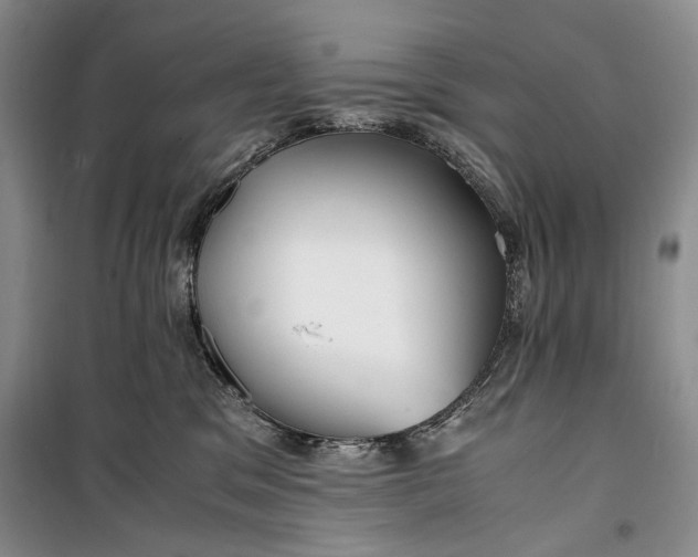 X0000099990329200806131440