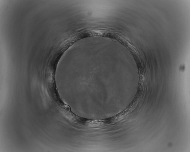 X0000099990331200806131440