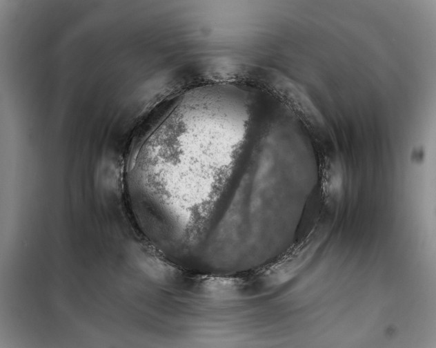 X0000099990332200806131440