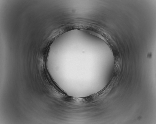 X0000099990333200806131440