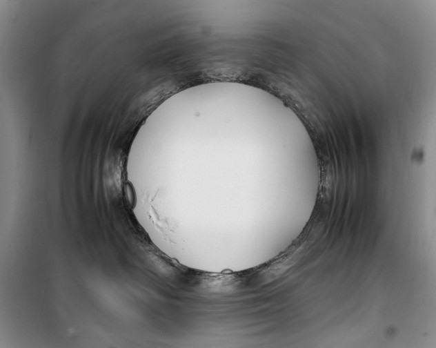 X0000099990334200806131440