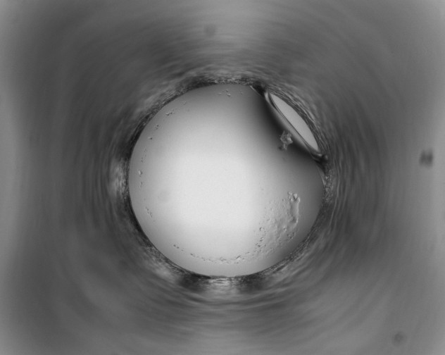 X0000099990335200806131440