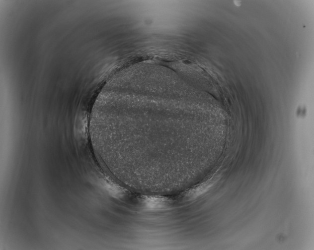 X0000099990336200806131440