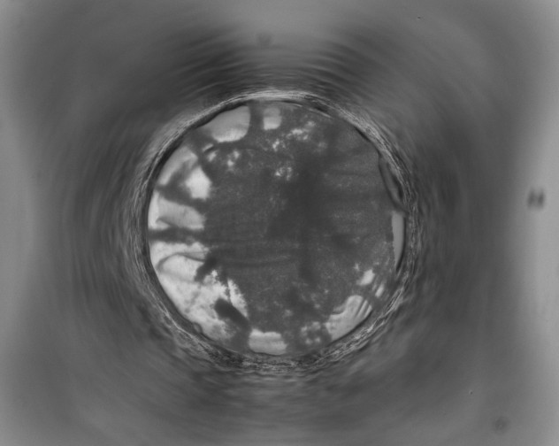 X0000099990337200806131440