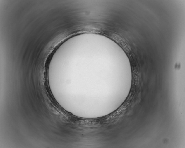 X0000099990338200806131440