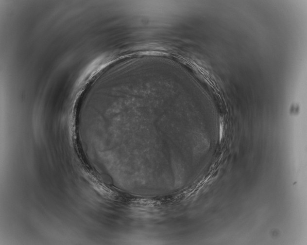 X0000099990339200806131440