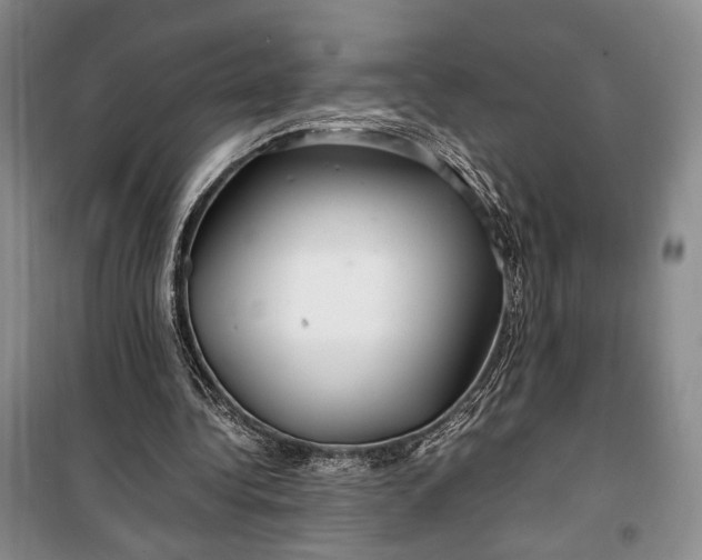 X0000099990340200806131440