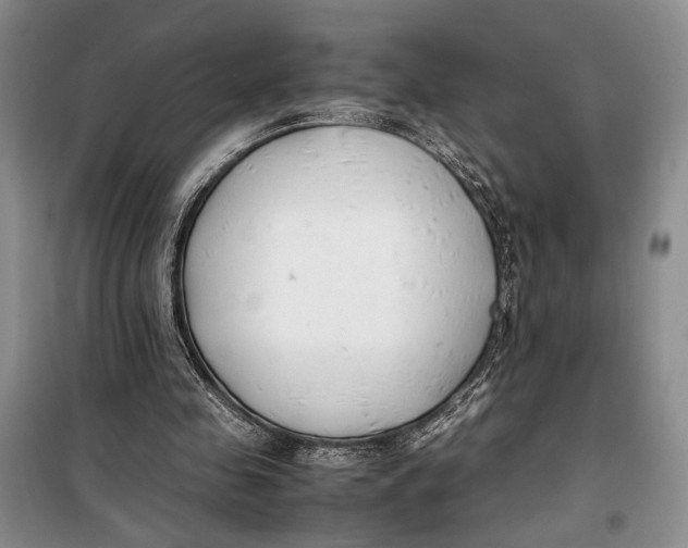 X0000099990341200806131440