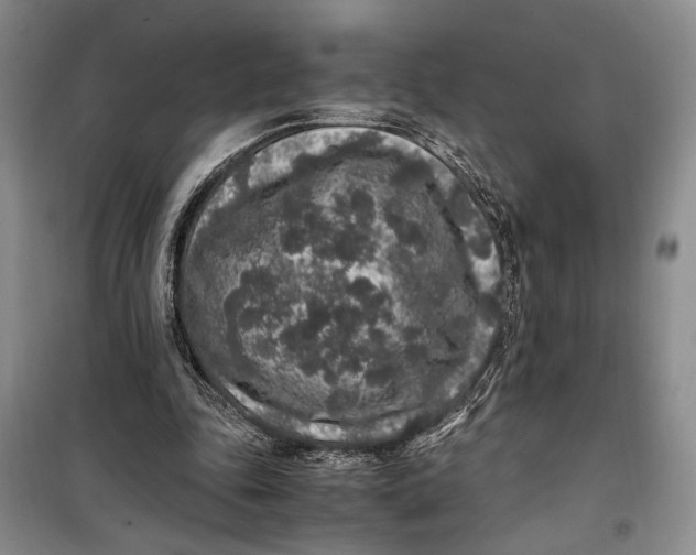 X0000099990343200806131440