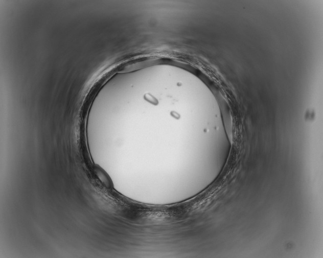 X0000099990344200806131440