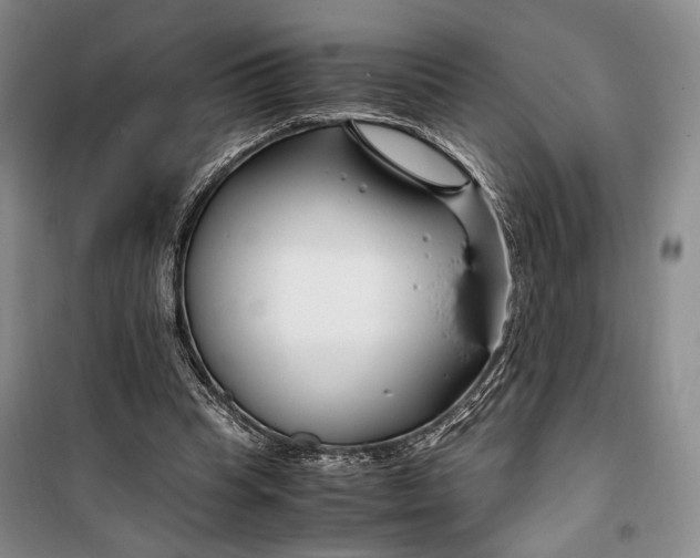 X0000099990345200806131440