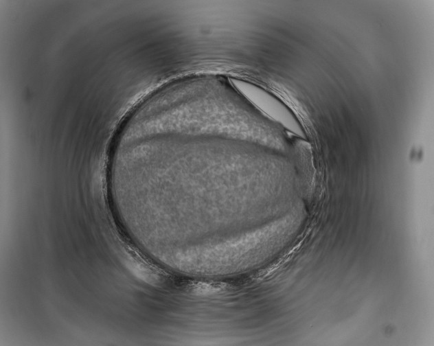 X0000099990346200806131440