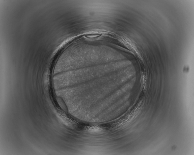 X0000099990348200806131440