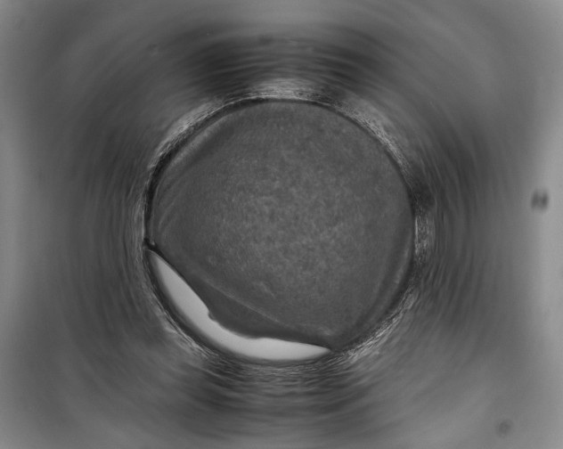 X0000099990349200806131440