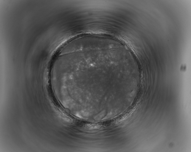 X0000099990351200806131440