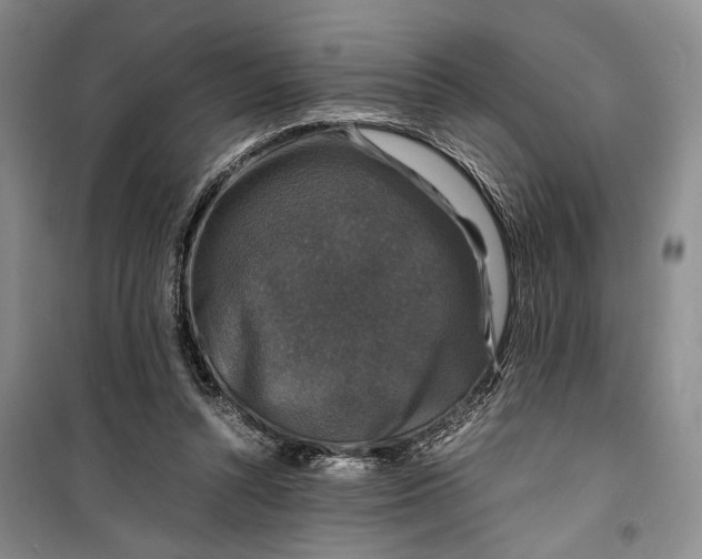 X0000099990352200806131440