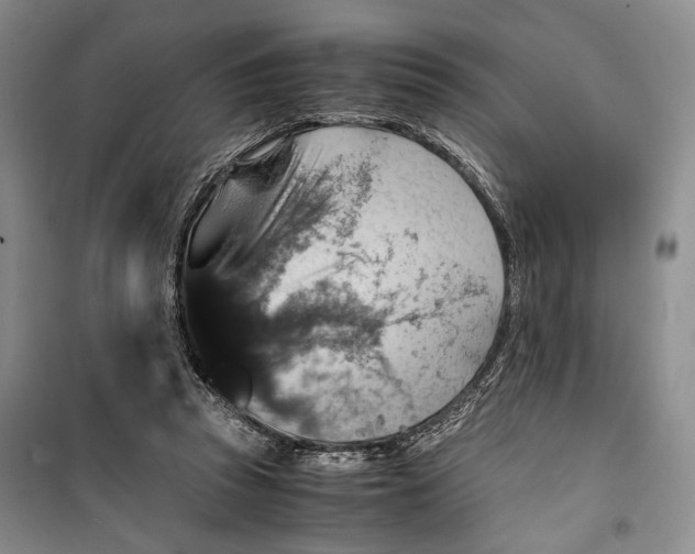 X0000099990353200806131440