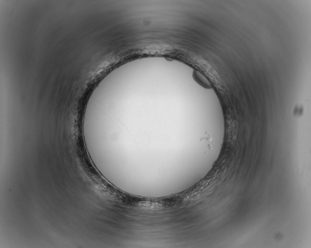 X0000099990354200806131440