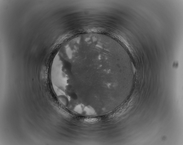 X0000099990357200806131440