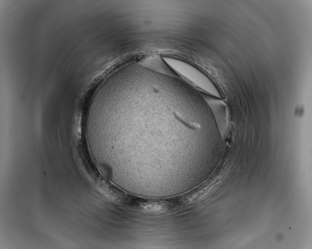 X0000099990358200806131440