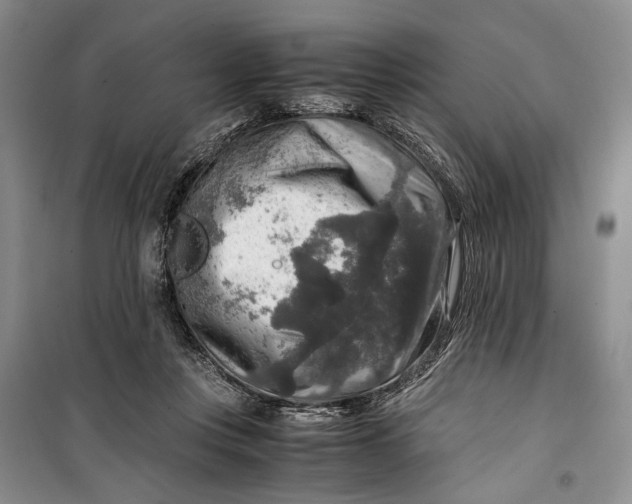 X0000099990359200806131440