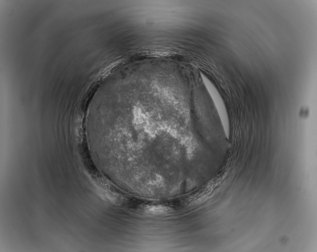 X0000099990360200806131440