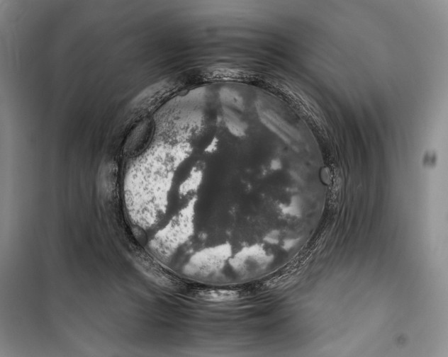 X0000099990361200806131440